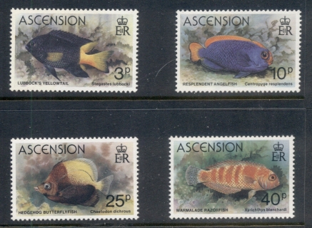 Ascension-Is-1980-Marine-Life-Fish-MUH