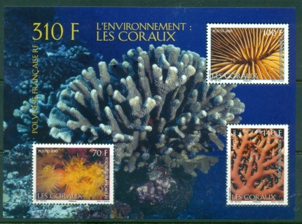 French-Polynesia-2010-Marine-Life-Corals-MS-MUH