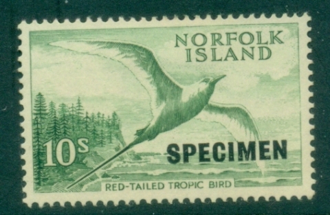 Norfolk-Is-1961-Red-Tailed-Tropic-Bird-10sh-Specimen-MLH