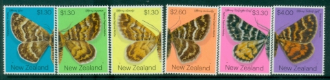 New-Zealand-2020-Insects-Native-Daphne-Moths-MUH