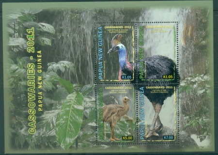 PNG-2011-Birds-Cassowaries-MS-MUH