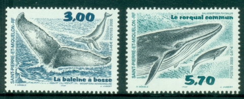 St-Pierre-et-Miquelon-2000-Marine-Life-Whales-MUH