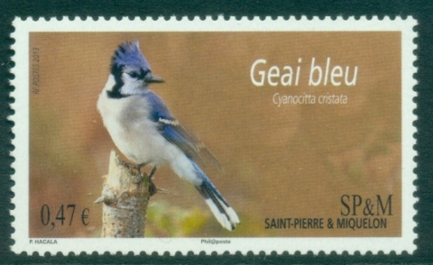 St-Pierre-et-Miquelon-2013-Birds-MUH