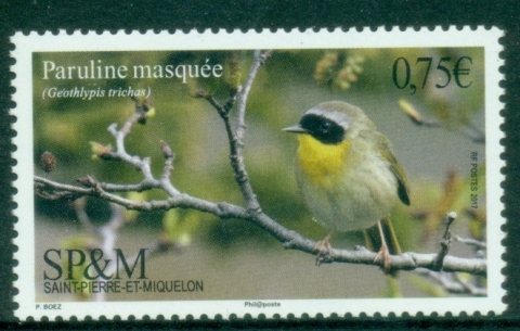 St-Pierre-et-Miquelon-2016-Birds-Common-Yellowthroat-MUH