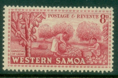 Samoa-1952-Pictorial-8d-Harvesting-Cacao-MUH