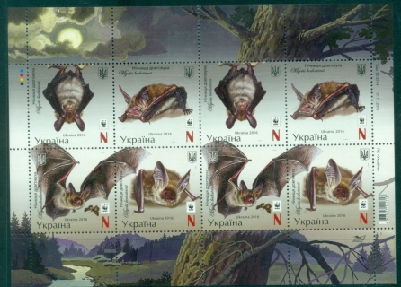 Ukraine-2016-Fauna-Bats-MS-MUH