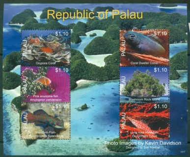 Palau-2013-Marine-Life-of-Palau-MS-MUH_2