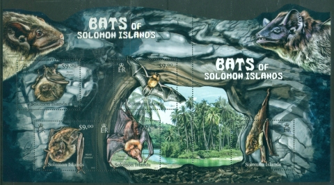 Solomon-Is-2013-Bats-MS-MUH-XL-Shipping