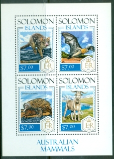 Solomon-Is-2014-Australian-Mammals-MS-MUH