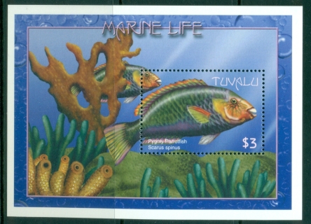 Tuvalu-2000-Marine-Life-Pygmy-Parrotfish-MS-MUH