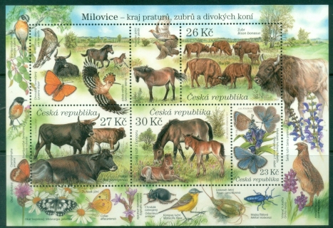 Czech-Republic-2021-Nature-Protection-Milovice-Nature-Reserve-MS-MUH
