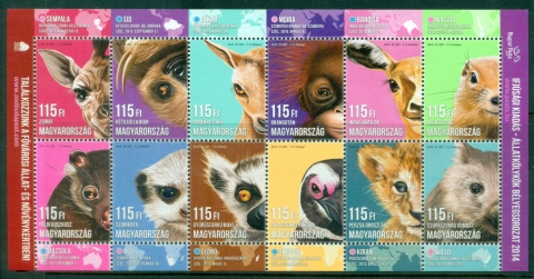 Hungary-2014-Animal-Cubs-MS-MUH