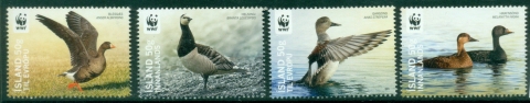 Iceland-2011-WWF-Birds-Endangered-Ducks-MUH