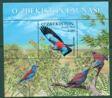 Uzbekistan-2016-Fauna-of-Uzbekistan-Birds-MS-MUH