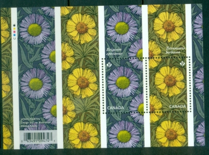 Canada-2017-Flowers-Daisies-MS-MUH