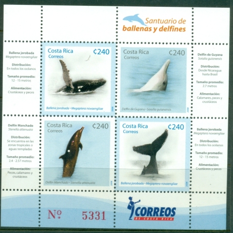Costa-Rica-2008-Whales-Dolphins-MS-MUH