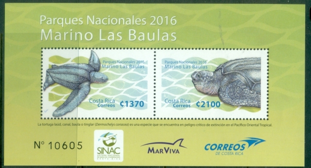 Costa-Rica-2016-National-Parks-Marino-Las-Baulas-MS-MUH