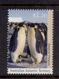 AAT-1992-Wildlife-1-20-Penguin-MUH