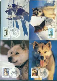 AAT-1994-The-Last-Huskies-Maximum-Cards-4-lot49212