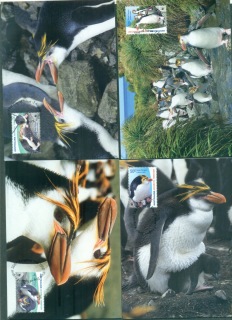 AAT-2007-Royal-Penguins-Maximum-Cards-4-lot76053