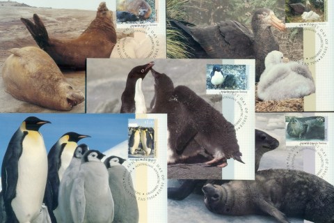 AAT-1992-AAT-Wildlife-5xMaxicards