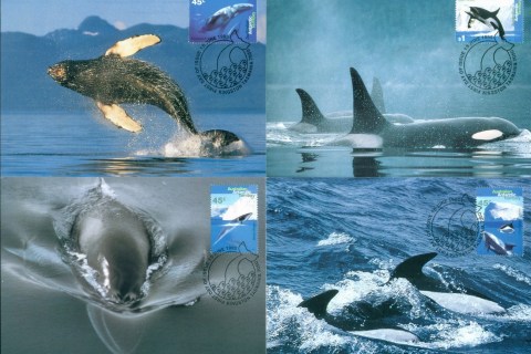 AAT-1995-Whales-Dolphins-4xMaxicards