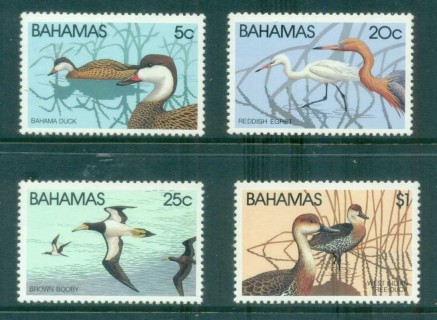 Bahamas-1981-Birds