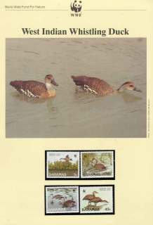 Bahamas-1988 WWF Whistling Duck