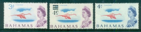 Bahamas-1965-on-QEII-Flamingoes