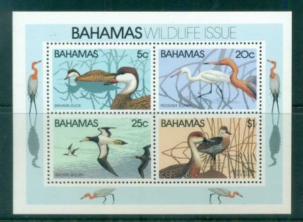 Bahamas-1981-Birds