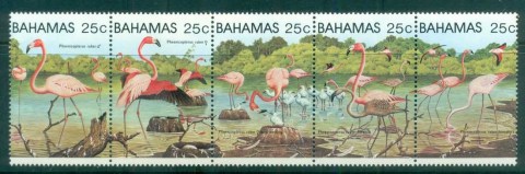 Bahamas-1982-Birds