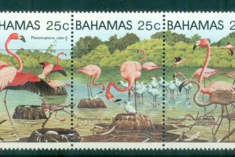 Bahamas-1982-Birds-Flamingoes
