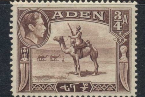 Aden-1939-48-KGVI-Pictorial-¾A-Camel-Corpsman