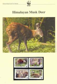 Afghanistan-2004 WWF Himalayan Musk Deer