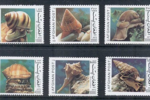 Afghanistan-1999-Seashells-MUH