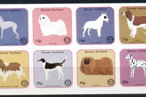 Davaar-1984-Dog-MS-MUH