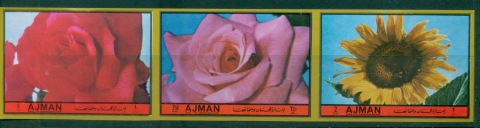 Ajman 1972 Mi#1949-1951B Flowers, Garden Flowers IMPERF