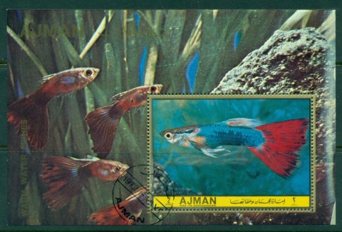 Ajman 1972 Mi#MS427A Tropical Fish MS