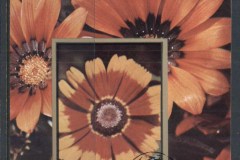 Ajman 1972 Mi#MS468B European Flowers MS IMPERF