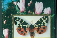 Ajman 1972 Mi#MS397A Famous Butterflies MS