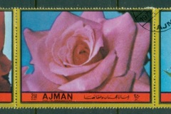 Ajman 1972 Mi#1949-1951 Flowers, Garden Flowers