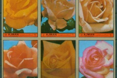 Ajman 1972 Mi#2083-2088 Flowers, Orange Roses IMPERF