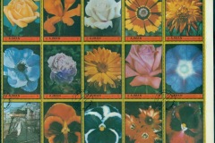 Ajman 1972 Mi#2130+ Flowers, positional piece from sheet15