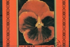 Ajman 1972 Mi#MS466B Flowers, Violets MS IMPERF