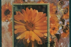 Ajman 1972 Mi#MS467A Flowers, Field Flowers MS