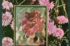 Ajman 1972 Mi#MS469A Flowers, Mixed species MS