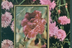 Ajman 1972 Mi#MS469A Flowers, Mixed species MS IMPERF