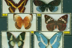 Ajman 1972 Mi#2385-2390 Insects, Rare Butterflies