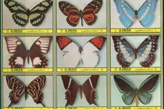 Ajman 1972 Mi#2391-2399 Insects, American Butterflies