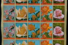 Ajman 1972 Mi#2078-2082B Flowers, Queen's Roses IMPERF block